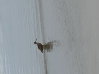 2F6FA9C9-FFDC-409F-816F-E2B661451410.jpeg