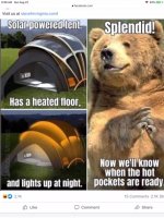 solar tent and bear.jpg