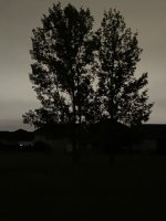 DAA6CF78-2AC2-4509-AE45-DEAE61D6F309.jpeg