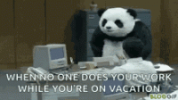 signal-2021-08-25-061241.gif