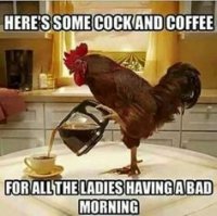 9e58fec5f0d1a4a150c4b6b2f4317b69--good-morning-coffee-in-the-morning.jpg