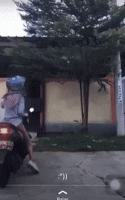 m18.gif