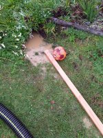 IMG_20210901_163103.jpg