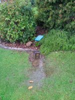 IMG_20210901_163615.jpg