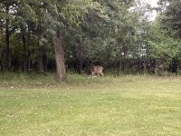 ABF425EE-4460-4104-8EC8-BA230E93AC06.jpeg