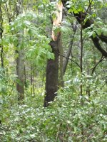 IMG_20210907_162048338.jpg