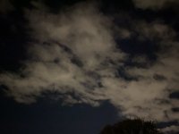 0E1A4D90-2990-43FB-85AB-6248628ED780.jpeg