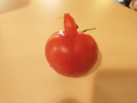 IMG_20210921_120919177.jpg