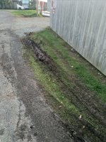 IMG_20210923_174702.jpg