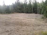 hybrid dirty ,log pile 186.jpg