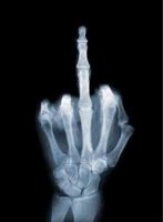 the finger.jpg
