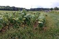 2013-04-01 002 001.JPG