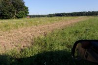 2013-04-08 001 013.JPG