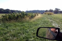 2013-04-08 001 006.JPG