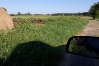 2013-04-08 001 017.JPG