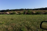 2013-04-08 001 008.JPG