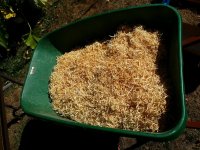 20160829_110319.jpg