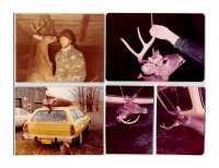 BowBuck1983.jpg