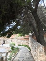 IMG_4721.JPG