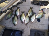 IMG_20210928_172303.jpg