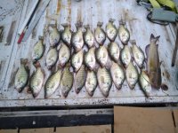 IMG_20210930_183610.jpg