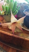 20181029_090542.jpg
