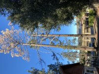 623A0722-EFED-4D53-9C0D-B85A2E563393.jpeg