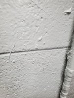 20211011_152818.jpg
