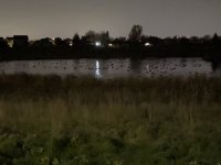 7A861575-CC7F-4BED-B7CB-EA2C97454062.jpeg