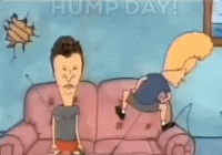 upload_2021-10-14_8-45-50.gif