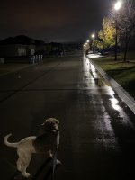 E4274E01-7AB4-4CBE-9CB1-0EDB54EDBEED.jpeg