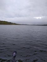 IMG_20211023_130847.jpg