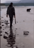 3F6095CD-646A-4301-B0F3-27334E7FB3C8.gif