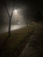 61B37027-40C7-4015-859C-5DDE9F0B1256.jpeg