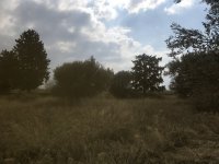301D0AE3-298A-486C-ADA2-207ABE529DA8.jpeg