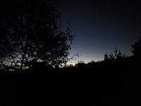 20211030_063655.jpg