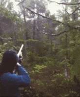 AssuredFluffyCub-max-1mb.gif