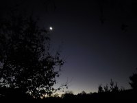 20211101_063818.jpg