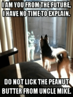 thumb_iam-you-from-the-future-have-notimeto-explain-do-not-50631114.png thumb_iam-you-from-the-future-have-notimeto-explain-do-not-50631114.png