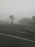 IMG_20211107_062327.jpg