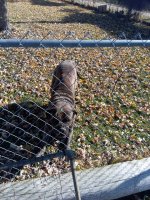 IMG_20211106_115434.jpg
