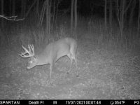 IMG_20211107_094807.jpg IMG_20211107_094807.jpg