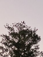 42753688-5ABE-4B1C-8764-3C96D5656FFE.jpeg