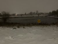 917A7164-3C8F-42E6-87E0-7CECB60B5314.jpeg