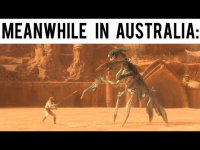 aus.jpg