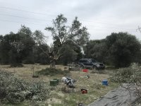 F13710C9-7901-45F4-9393-6BEDA7474039.jpeg