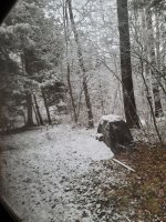 20211114_080318.jpg
