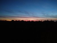 IMG_20211114_173429.jpg