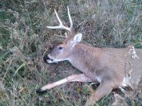 IMG_20211114_165638.jpg