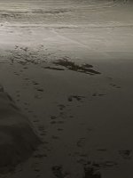 D278EBC5-255A-41B4-A222-284CD3E594BD.jpeg